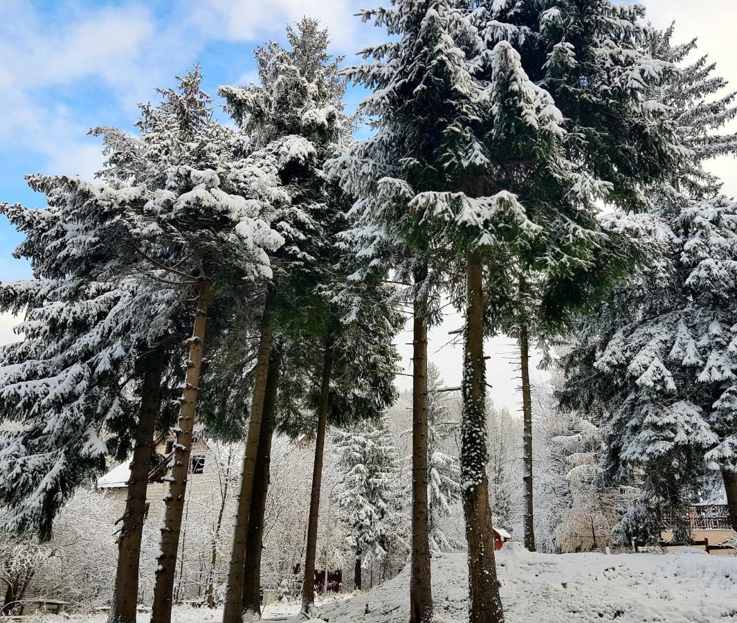 Willa Goralka Karpacz Dış mekan fotoğraf